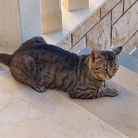 Luka Gostinjska kuća