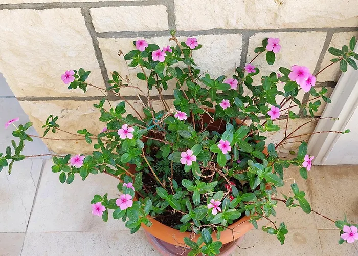 Luka Affittacamere 3*