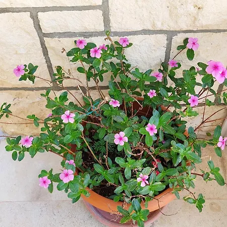 Luka 게스트하우스 3*