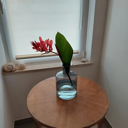 게스트하우스 Luka